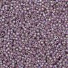 TOHO Round Seed Beads X-SEED-TR11-0166F-2