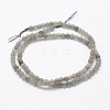 Natural Labradorite Beads Strands G-P322-31-4mm-2