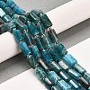 Natural Apatite Beads Strands G-G068-A11-01-2
