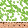 6/0 Imitation Jade Glass Seed Beads SEED-T006-04A-11-4