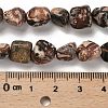 Natural Leopard Skin Jasper Beads Strands G-P497-01E-93-5