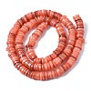 Natural Freshwater Shell Beads Strands SHEL-S278-025H-2