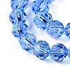 Transparent Glass Beads Strands EGLA-A035-T3mm-D14-3