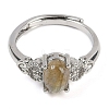 Oval Natural Labradorite Adjustable Rings RJEW-Q819-01P-04-3