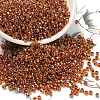 TOHO 8/0 Round Beads SEED-TR08-1825-1