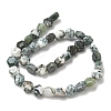 Natural Tree Agate Beads Strands G-G463-A07-10x11mm-3