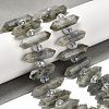 Natural Labradorite Double Terminated Point Beads Strands G-H069-B04-01-2