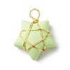 Opaque Resin Pendants PALLOY-JF01849-01-2