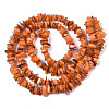 Natural Freshwater Shell Beads Strands SHEL-S278-071B-2