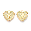 Alloy Pendants LS-PALLOY-N157-001Y-NR-1