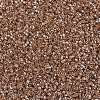 MIYUKI Delica Beads SEED-MY11-DB1221-3