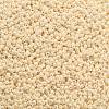 TOHO Round Seed Beads SEED-TR11-0123-2