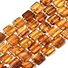 Natural Amber Beads Strands G-C260-A01-06-2