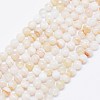 Natural Stripe Agate Beads Strands X-G-F425-19-1