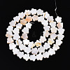 Natural Freshwater Shell Beads Strands SHEL-S276-111A-2