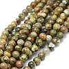 Natural Rhyolite Jasper Beads Strands G-F674-03AB-8mm-1