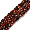 Natural Carnelian Beads Strands X-G-B079-A03-01-1