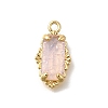 Brass Glass Charms KK-U061-10G-04-1