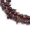 Natural Garnet Beads Strands G-P332-68-2