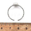 304 Stainless Steel Shell Cuff Open Rings RJEW-JR01111-02-5