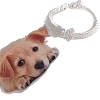 Adjustable 3-Row Brass Micro Pave Cubic Zirconia Cup Chain Pet Collars PW-WG63250-01-1