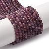 Natural Ruby Beads Strands G-F509-16-3mm-01-2