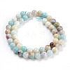 Natural Flower Amazonite Beads Strand G-E487-49-2