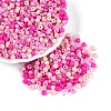 Opaque & Transparent Glass Seed Beads SEED-Q041-06A-1