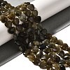 Natural Labradorite Beads Strands G-R190-10mm-52-1