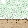 6/0 Opaque Baking Paint Glass Seed Beads SEED-M012-02A-15-4