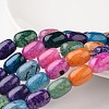 Barrel Natural Multi-Color Agate Bead Strands G-M350-11-1
