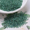 MIYUKI Delica Beads SEED-J020-DB0060-4