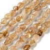 Natural Citrine(Heated) Beads Strands X-G-F827-A01-02-2