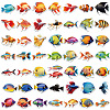 50Pcs Fish PVC Self Adhesive Stickers STIC-P014-04-2