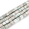 Natural Variscite Beads Strands G-T141-96A-2
