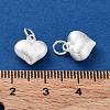 925 Sterling Silver Pendants STER-A043-03A-S-3