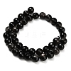Natural Silver Obsidian Beads Strands G-C280-B08-10mm-3