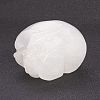 Natural Quartz Crystal Display Decorations DJEW-J004-03-3