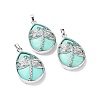 Dyed Natural Howlite Pendants G-G900-01P-21-1