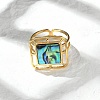 Square 304 Stainless Steel Paua Shell Cuff Rings for Women RJEW-G346-03G-01-2