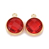Glass Charms KK-C228-02G-10-1