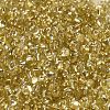 Baking Paint Glass Seed Beads SEED-K009-03B-02-3