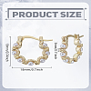 1 Pair Zinc Alloy Hoop Earrings EJEW-LP0003-66P-2