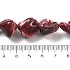 Dyed Natural Trochus Shell Beads Strands BSHE-Z006-02C-4