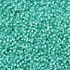 MIYUKI Delica Beads X-SEED-J020-DB0627-3