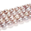 Natural Cultured Freshwater Pearl Beads Strands PEAR-R064-16-5