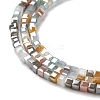 Gradient Color Electroplate Glass Bead Strands X-GLAA-E042-05-B05-4