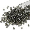 TOHO 6/0 Round Beads SEED-XTR06-0029-1