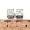 304 Stainless Steel European Beads SA-CBA66F5-02P-3