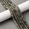 Natural Labradorite Beads Strands G-P587-D13-01-1